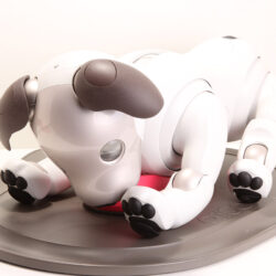 Bandana Sony Aibo ERS-1000, loquet pour voyant de charge, accessoire robot pour chien - Canada